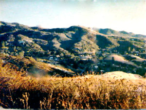 Topanga Landscape